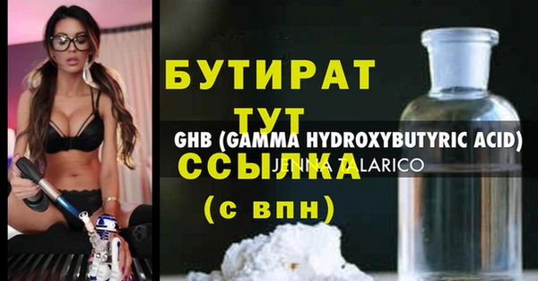 индика Бикин