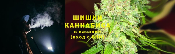 трава Жердевка