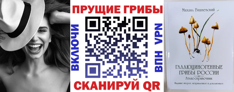 кракен ССЫЛКА  Байкальск  Псилоцибиновые грибы Psilocybine cubensis 